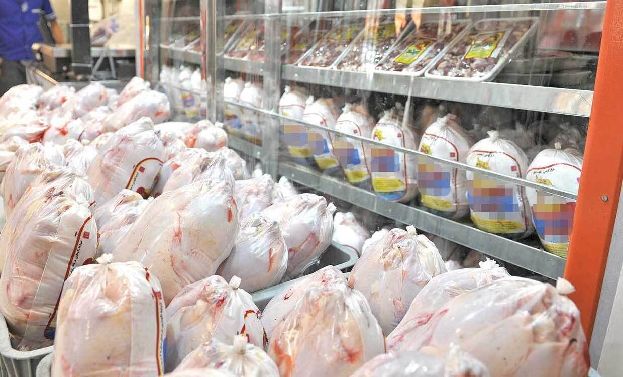 کاهش قیمت مرغ زیر قیمت مصوب دولتی