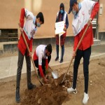 برگزاری طرح پویش سبز کاشت نهال به نام شهدای امدادگر شهرستان بهار به همت جمعیت هلال احمر