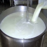 کشف ۲۰ تن شیر خام بدون مجوز در بهار