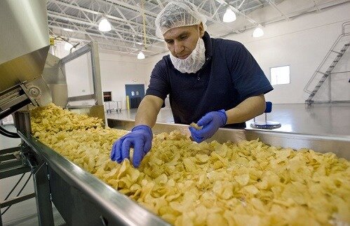 چرا سیب‌زمینی‌کاران بهاری کارخانه چیپس نمی‌سازند؟