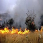 زنگ خطر آتش سوزی گسترده پوشش های گیاهی و مراتع در همدان به صدا درآمده است/ حداقل روزانه ۲۰ مورد آتش سوزی مراتع در همدان
