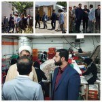 ورود دادستان شهرستان بهار به موضوع کیفیت مرغ تولیدی در کشتارگاه طیوران/ ضرب الاجل یک ماهه دادستان بهار به اصلاح کیفیت مرغ