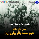 حضرت آیت الله شیخ محمد باقر بهاری(ره)