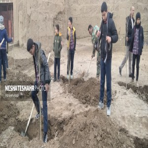 برگزاری پویش " جان ایران" به مناسبت روز درختکاری در روستای لتگاه /کاشت ۳۰۰ اصله نهال صنوبر در بوستان روستایی لتگاه