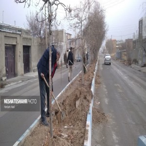 گزارش تصویری از پویش نهالکاری «به نام پدر» همزمان با سراسر کشور در روستای آبرومند