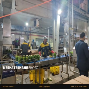 گزارش تصویری از نشست فعالان اقتصادی با حضور دکتر ابراهیم شیخ، معاون صنایع عمومی وزارت صمت