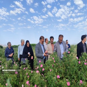 گزارش تصویری از گلستان گل محمدی صالحی پیمان، کارخانه ذوب ریزان، کارخانه قند هگمتان و صنایع تبدیلی نشاسته الوند