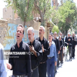 گزارش تصویری از دسته عزاداری روز ۲۸ صفر به مناسبت رحلت پیامبر اکرم(ص) و شهادت امام حسن مجتبی(ع) در شهر بهار(قسمت اول)
