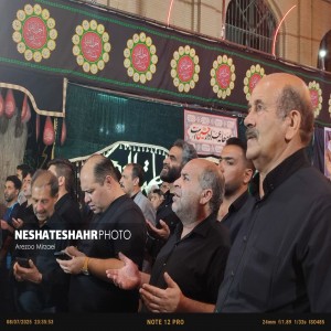 گزارش تصویری از مراسم شاه حسین گویان هیئت ثامن الائمه شهرستان بهار(قسمت سوم)