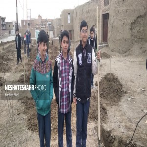 برگزاری پویش " جان ایران" به مناسبت روز درختکاری در روستای لتگاه /کاشت ۳۰۰ اصله نهال صنوبر در بوستان روستایی لتگاه