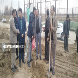 برگزاری پویش " جان ایران" به مناسبت روز درختکاری در روستای لتگاه /کاشت ۳۰۰ اصله نهال صنوبر در بوستان روستایی لتگاه