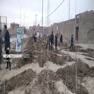 برگزاری پویش " جان ایران" به مناسبت روز درختکاری در روستای لتگاه /کاشت ۳۰۰ اصله نهال صنوبر در بوستان روستایی لتگاه