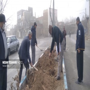 گزارش تصویری از پویش نهالکاری «به نام پدر» همزمان با سراسر کشور در روستای آبرومند