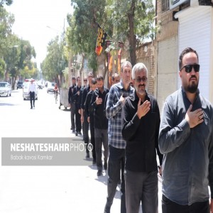 گزارش تصویری از دسته عزاداری روز ۲۸ صفر به مناسبت رحلت پیامبر اکرم(ص) و شهادت امام حسن مجتبی(ع) در شهر بهار(قسمت اول)