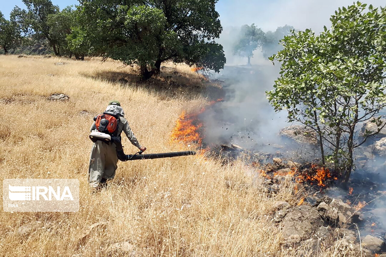 «آتش بُر» در ۳۳۰ هکتار از اراضی جنگلی شهرستان بهار ایجاد شد