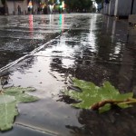 پرونده بارش‌های سال آبی استان همدان با ۳۳ درصد کاهش بسته شد