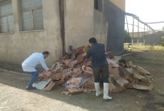 بالغ بر 4 تن پای مرغ غیر بهداشتی در شهرستان بهار ضبط و معدوم سازی شد