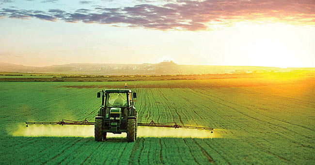 نقش بی‌نظیر تغذیه گیاهی در رشد تولید محصولات کشاورزی استان
