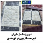 گروه مسلح و فداییان بهاری