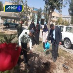 کاشت نهال به مناسبت هفته نیروی انتظامی درستاد فرماندهی نیروی انتظامی شهرستان بهار شهرستان بهار