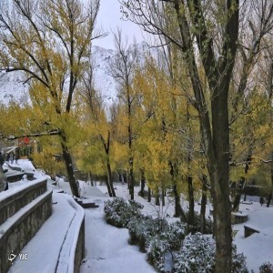 گزارش تصویری از بارش امروز برف در ارتفاعات همدان