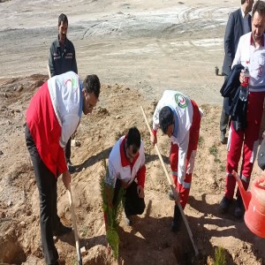 گزارش تصویری از روز درختکاری در شهرستان بهار