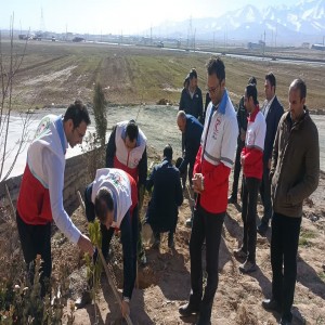 گزارش تصویری از روز درختکاری در شهرستان بهار