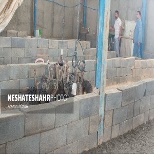 گزارش تصویری از افتتاح پروژه‌های عمرانی در شهرستان بهار به مناسبت هفته دولت