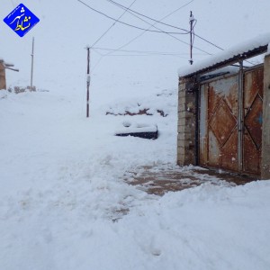 گزارش تصویری از بارش برف امروز در روستای زاغه