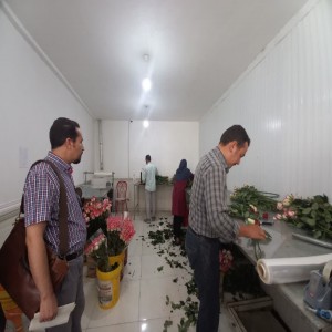 گزارش تصویری از تور رسانه ای جهاد کشاورزی شهرستان بهار