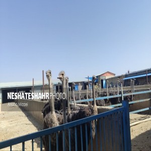گزارش تصویری از افتتاح پروژه‌های عمرانی در شهرستان بهار به مناسبت هفته دولت