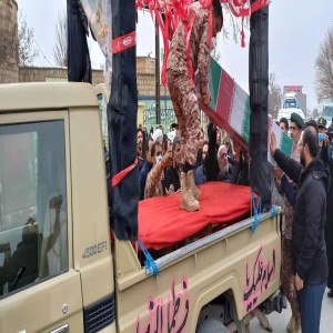 گزارش تصویری از استقبال پیکر مطهر شهدای گمنام در شهرستان بهار