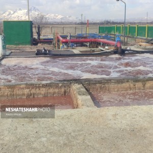 گزارش تصویری از بازدید خبرنگاران از کارخانه دیانا کاغذ و کشتارگاه دام و طیور