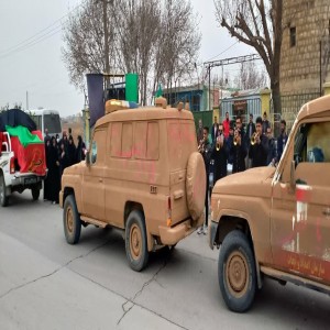 گزارش تصویری از استقبال پیکر مطهر شهدای گمنام در شهرستان بهار